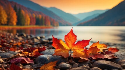 Beautiful autumn path with leaves and stones, calm and harmony on a minimalist photo