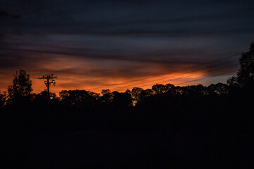 Obraz premium anochecer con arboles