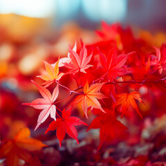 美しい秋の紅葉のイメージ