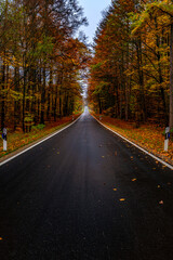 Fototapeta premium Strasse im Herbst