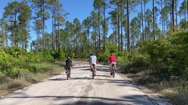 Bicycle riders on gravel road surrounded by Florida pine trees