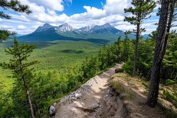 Obraz premium A dense forest on a mountainside, with towering pine trees, rugged terrain, and the distant peaks of the mountain range visible through the branches