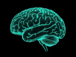 Abstract human brain made of glowing calculus functions and curves, neural patterns, Math and cognition, Complex calculus in human thought