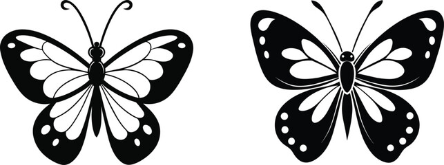 Obraz premium Butterfly vector silhouette 