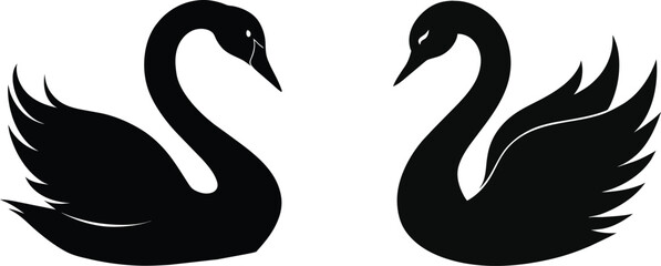 Obraz premium swan vector silhouette