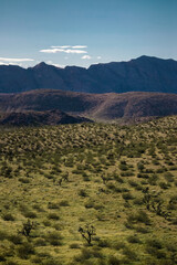 landscape in desert valley