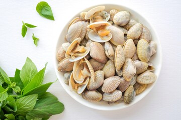 Fresh clams in white ceramic on white background
