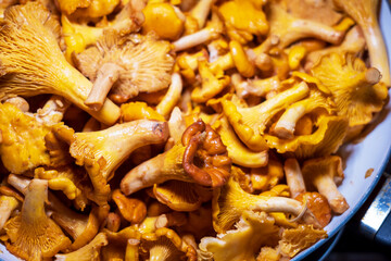 Cantharellus fried, small culinary delight, eat what nature gives us