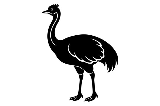 recommend clip art: cassowary vector icon with Transparent Background Clipart