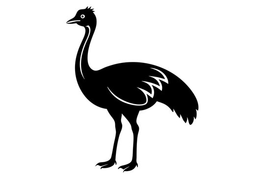 recommend clip art: cassowary vector icon with Transparent Background Clipart