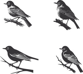 American Robin Silhouette Vector | High-Quality Stock Illustration