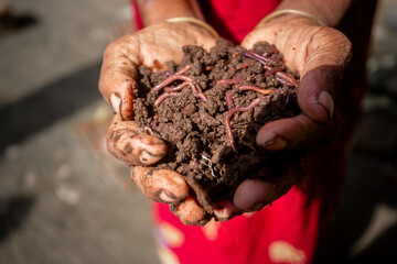 A rural woman trader displays vermicompost fertilizer in her palm.
