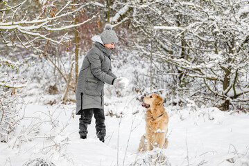 Teenage Girl With Golden Retriever Makes Snowball In Snow-Covered Forest In Winter