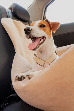 Happy dog enjoying a car ride on a sunny day in a comfortable pet seat cover