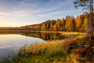 Lake in the autumn Karelian forest. Beautiful panoramic landscape with a pond and trees.