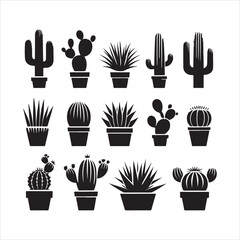 cactus silhouette on white background
