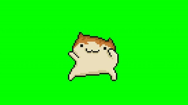 Dancing cat, meme animation pixel art 