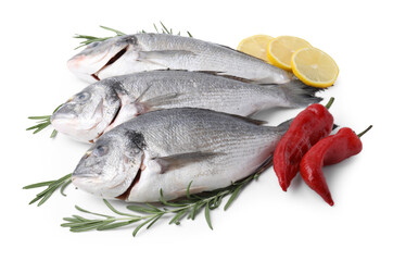 Sea food. Fresh raw dorado fish with spices isolated on white