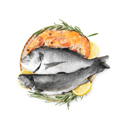 Different fresh sea food with spices in bowl isolated on white, top view