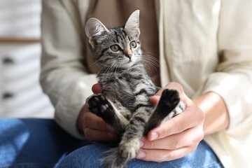 Man with cute kitten at home, closeup