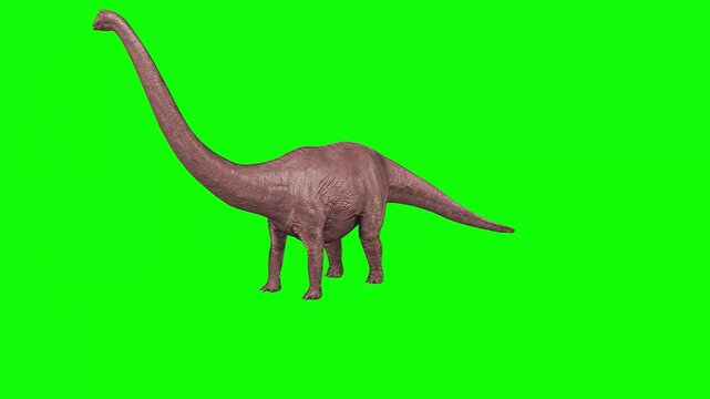 dragon and brachiosaurur and dragon and dinosaur