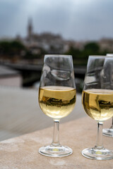 Sherry fino wine tasting on roof of old Triana district in Sevilla with view on Sevilla houses and churches, wine glasses and bottle