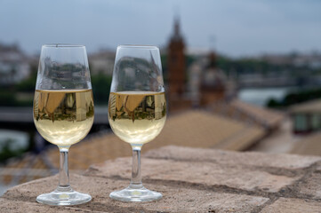 Sherry fino wine tasting on roof of old Triana district in Sevilla with view on Sevilla houses and churches, wine glasses