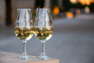 Sherry wine glasses with fino and old bogedas jerez wine cellars on background in Jerez de la Frontera, wine glasses outdoor, cityview, Andalusia, Spain
