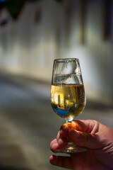 Hand with sherry wine glass with fino and old bogedas jerez wine cellars on background in Jerez de la Frontera, wine glasses outdoor, cityview, Andalusia, Spain