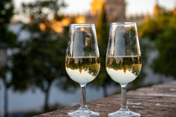 Sherry wine glasses and old bogedas jerez wine cellars on background in Jerez de la Frontera, wine glasses outdoor, cityview, Andalusia, Spain