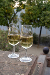 Sherry wine glasses and old bogedas jerez wine cellars on background in Jerez de la Frontera, wine glasses outdoor, cityview, Andalusia, Spain