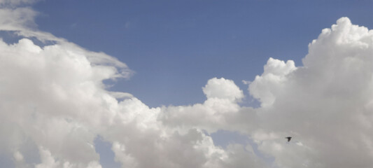 clouds in the sky