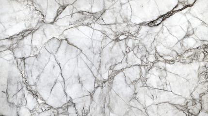 White marble texture with intricate black veins, forming a detailed and sophisticated pattern, ideal for modern architecture, interior designs, or high-end decorative surfaces.