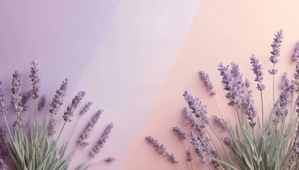 Obraz premium Lavender flowers on a gradient background with soft purple and peach tones 