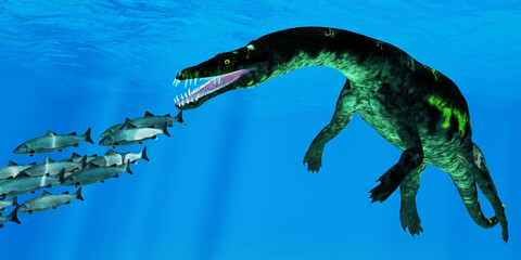 Nothosaurus attacks Salmon School - A school of Atlantic Salmon swim away from a giant Nothosaurus reptile during the Triassic Period. © Catmando