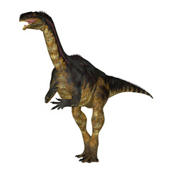 Plateosaurus Dinosaur - Plateosaurus was a prosauropod herbivorous dinosaur that lived in the Triassic Age of Europe.