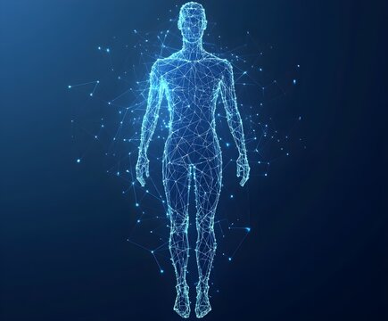 Abstract digital human body. Polygonal wireframe silhouette. Low poly anatomy blue background.