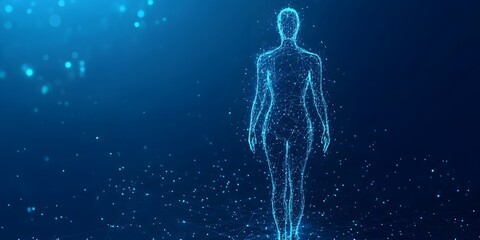 Abstract digital human body. Polygonal wireframe silhouette. Low poly anatomy blue background.