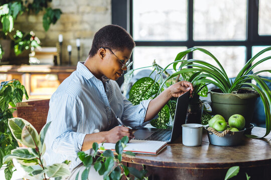 Cheerful healthy African American woman with laptop at home or in modern green office. Concept of video call, freelance job, studying remotely, learning, teaching languages, international education - Powered by Adobe