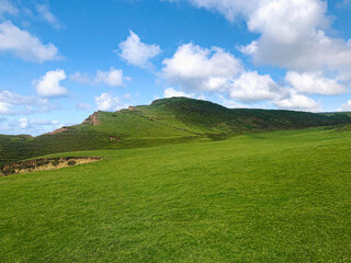landscape of lush green cliff top with fluffy clouds and blue sky