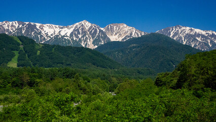 Naklejka premium 新緑と春の公園 長野県白馬村