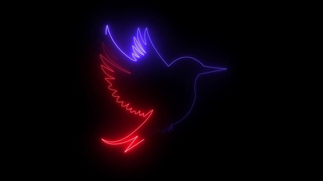 Kingfisher icon animation glowing neon line red blue color best on dark night background for any design