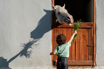 A young boy is feeding a horse from the inside of a stable
