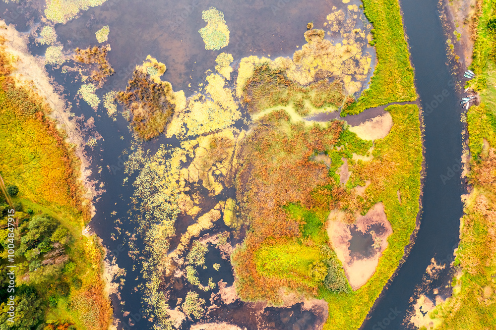 Poster abstract image of a marshy area from a bird's eye view.