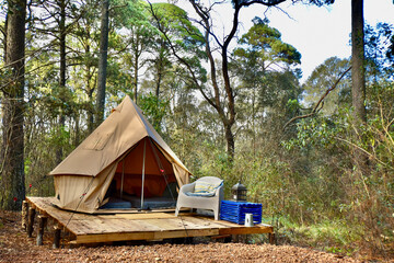 glamping en el bosque