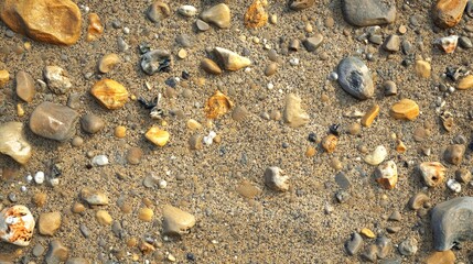 A close-up of sand and various stones, pebbles and shells.