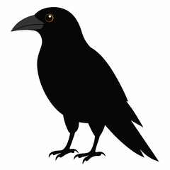 Stunning American Crow Vector Illustration High-Quality Graphics for Designers