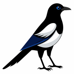 High-Quality Black-billed Magpie Vector Illustration Perfect for Your Projects