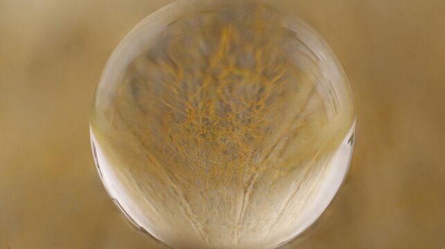 Close-up of a glass ball that reflects a yellow structure