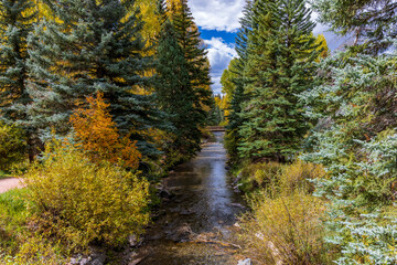 Autumn Foliage around telluride Colorado in September